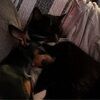 oliviaaliya